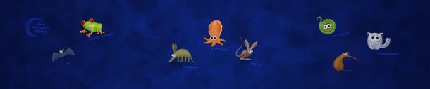 超萌海底可爱水生物jpg设计背景_88icon https://88icon.com 可爱 海底 生物