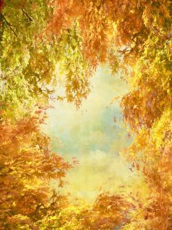 梦幻秋天背景秋天的枫叶背景高清图片