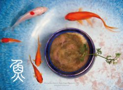 锦里红鱼锦里跳跃盆栽高清图片