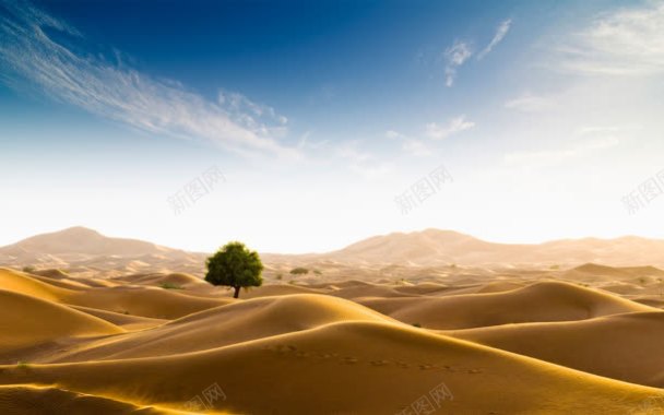 蔚蓝天空金色沙漠背景