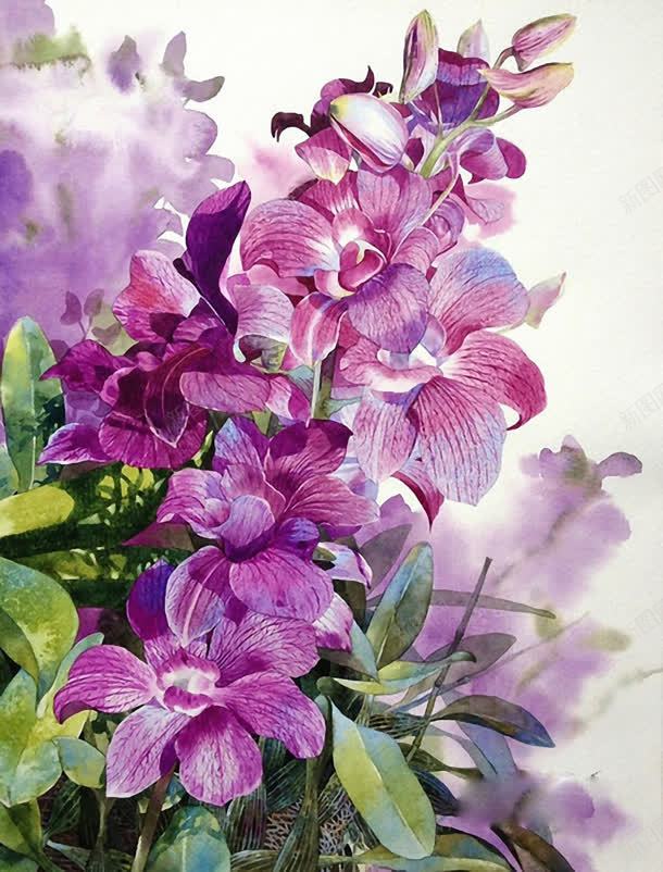 紫色水彩手绘花卉jpg设计背景_88icon https://88icon.com 水彩 紫色 花卉
