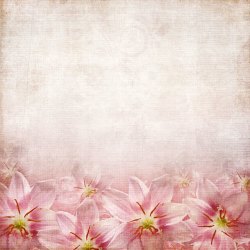怀旧花朵背景粉红色花朵背景高清图片