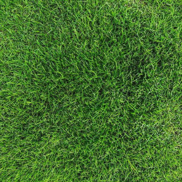 绿色草坪背景jpg设计背景_88icon https://88icon.com 人工草地 其它类别 图片素材 绿色 绿色草坪背景图片 绿色草坪背景图片素材下载 背景 背景花边 草地 草坪 草坪背景图片