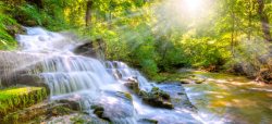 美丽早晨早晨森林中的美丽小溪瀑布海报背景高清图片