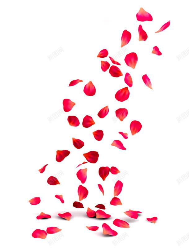 散落红色玫瑰花瓣jpg设计背景_88icon https://88icon.com 散落 玫瑰 红色 花瓣