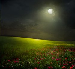 美丽的夜景草原夜晚风景高清图片