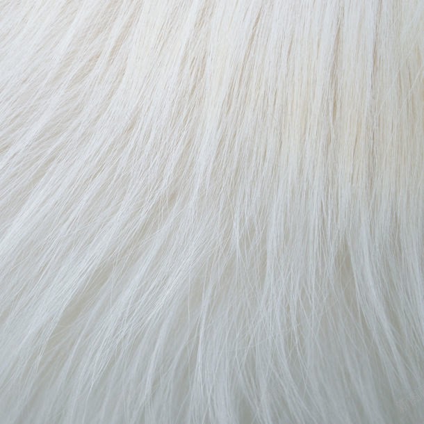 白色动物皮毛jpg设计背景_88icon https://88icon.com 其它类别 动物 图片素材 毛发 白色 白色动物皮毛图片 白色动物皮毛图片素材下载 皮毛 背景 背景图案 背景花边