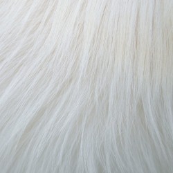 白色动物皮毛背景图片白色动物皮毛高清图片