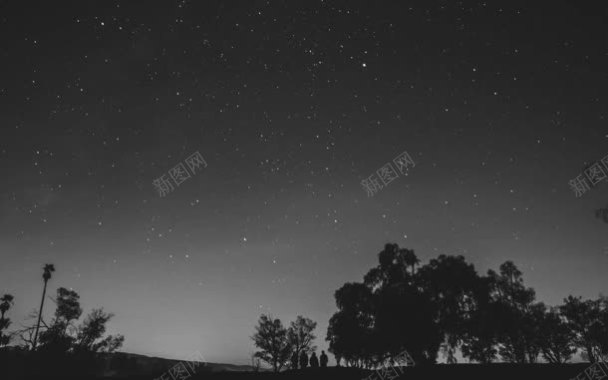 夜空下的树林海报背景背景