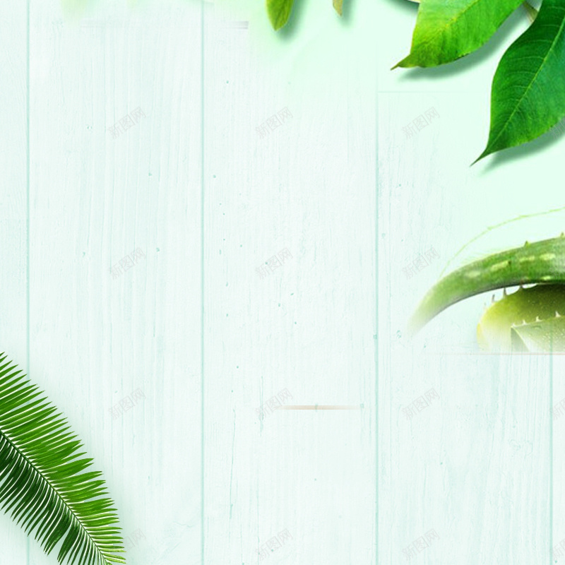 简约小清新花卉PSD分层主图psd设计背景_88icon https://88icon.com PSD分层 主图 大气 小清新 文艺 木板 树叶 直通车促销 简约 花卉