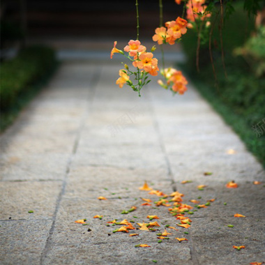 简约清新背景图背景