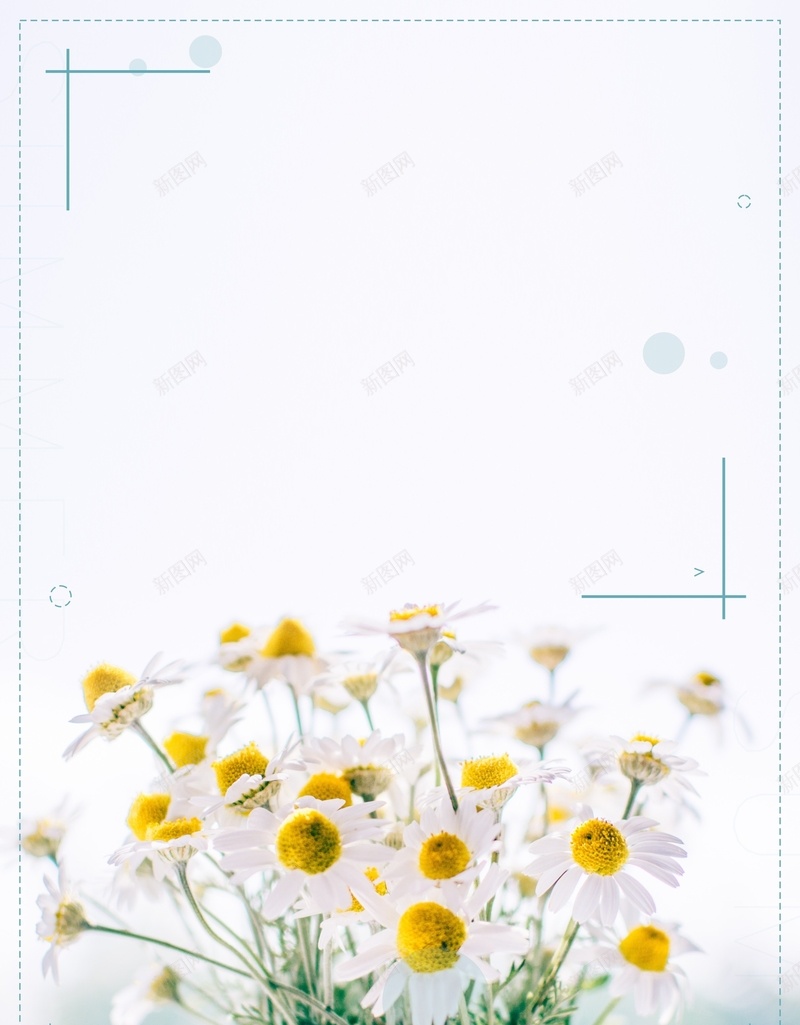 唯美小清新8月你好背景cdr设计背景_88icon https://88icon.com 8月 8月你好 促销海报 商场促销海报 夏不为利 小清新 文艺 暑期钜惠 极简 灯箱 简约 花 问候