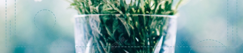 唯美小清新8月你好背景cdr设计背景_88icon https://88icon.com 8月 8月你好 促销海报 商场促销海报 夏不为利 小清新 文艺 暑期钜惠 极简 灯箱 简约 花 问候