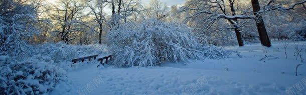 雪景冬天背景简约清新jpg设计背景_88icon https://88icon.com 冬天 清新 简约 背景 雪景