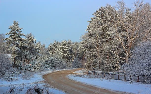 下雪后的树林和道路jpg设计背景_88icon https://88icon.com 树林 道路 雪后