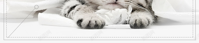 简约励志早安世界PSD分层psd设计背景_88icon https://88icon.com PSD源文件 PSD素材 你好早安 分层文件 图 小猫 早上 早上好 早安 早安世界 早安图 早晨 清晨问候 背景模板 背景海报 背景素材 高清背景