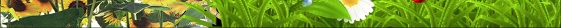 留影墙背景cdr设计背景_88icon https://88icon.com 南方电网 校园 环保 留影墙 留影墙图片图片下载 留影墙模板下载 留影墙矢量素材 签名墙 绿色 节能