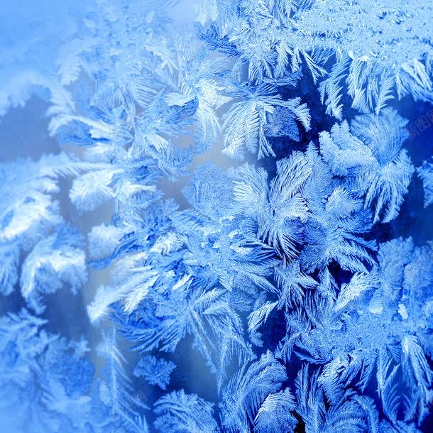 蓝色冰花创意背景jpg设计背景_88icon https://88icon.com 冰晶背景 冰花 图片素材 底纹背景 材质背景 结冰 背景花边 蓝色冰花创意背景图片 蓝色冰花创意背景图片素材下载 雪花材质
