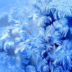 创意结冰冰花背景图片蓝色冰花创意背景高清图片
