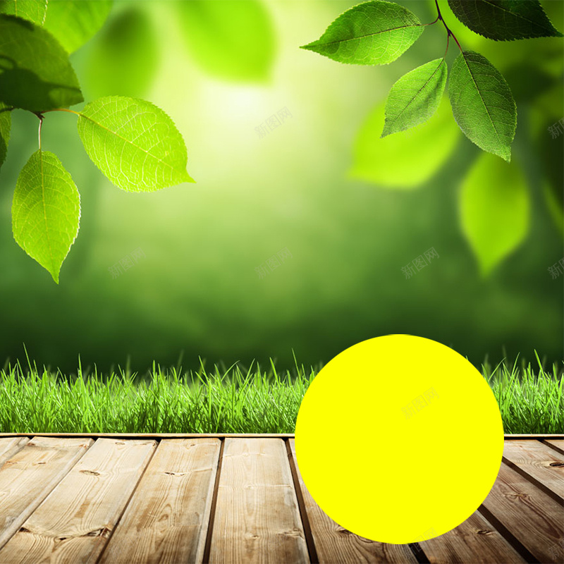 文艺首图psd设计背景_88icon https://88icon.com 主图 小清新 文艺 树叶 清新 简约 绿色 阳光