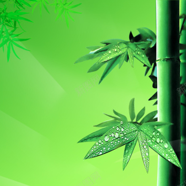 绿色竹林装修PSD分层主图背景背景