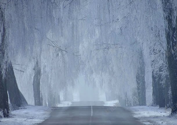 雪后街道树森风景jpg设计背景_88icon https://88icon.com 街道 雪后 风景
