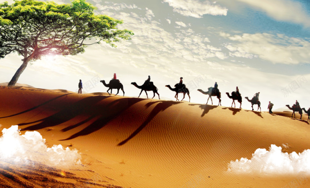 沙漠骆驼队绿洲背景背景