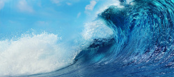 大海生物海洋海浪背景高清图片