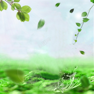 绿色清新植物主图背景