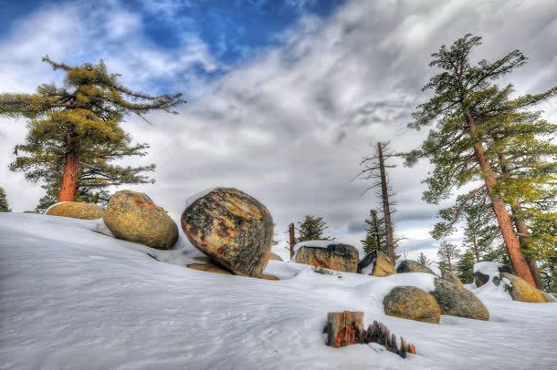 冬季森林雪景自然风景jpg设计背景_88icon https://88icon.com 冬季 森林 自然 雪景 风景