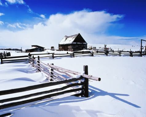 冬季自然美景雪地背景