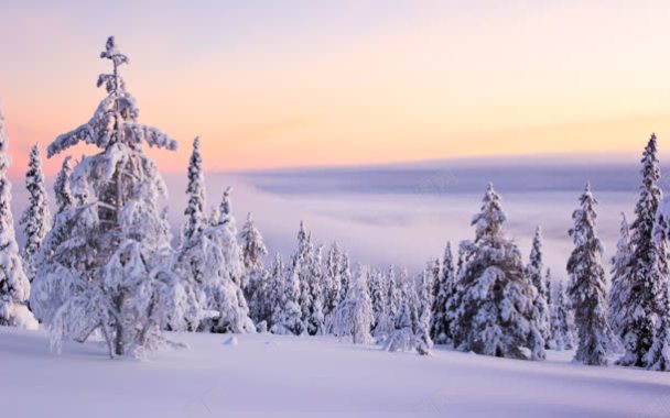 冬季雪景图背景