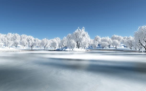 创意摄影合成效果雪地大树摄影图片