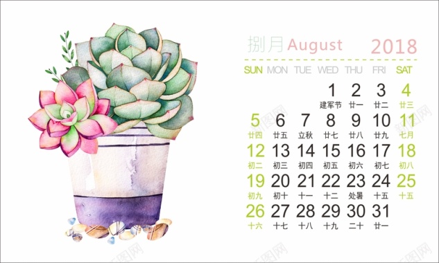 2018年手绘多肉植物清新台历8月份背景