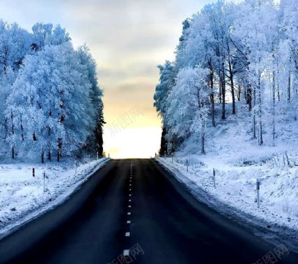 冬季公路森林雪景背景