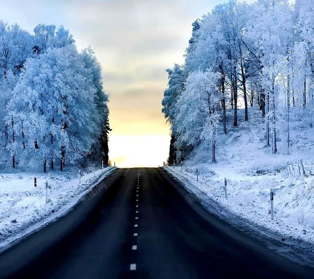 冬季公路森林雪景jpg设计背景_88icon https://88icon.com 公路 冬季 森林 雪景