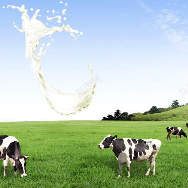 飞溅牛奶草地奶粉PSD分层主图背景背景