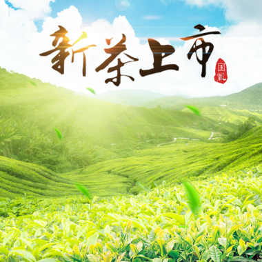 新茶上市节日促销模板背景