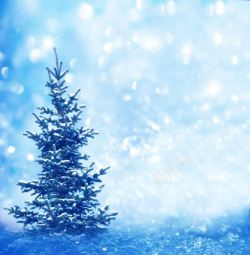 雪地与光斑图片树树与光斑高清图片