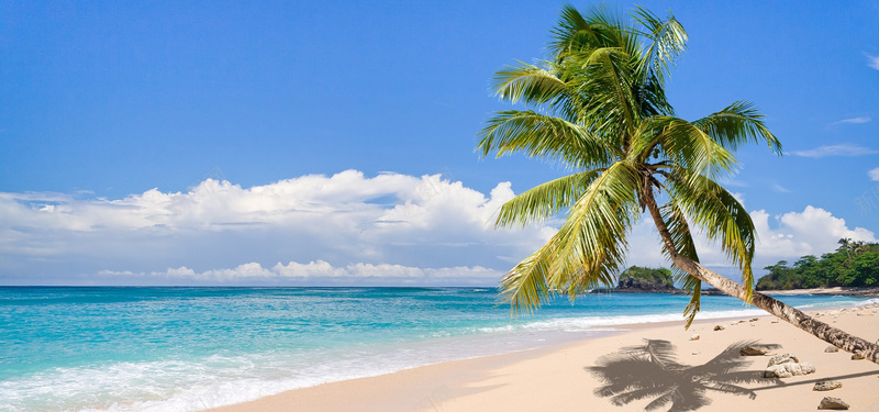 清新夏威夷海滩淘宝海报背景jpg设计背景_88icon https://88icon.com 摄影 椰树 沙滩 海报banner 淘宝背景素材 简约 背景 阳光 风景