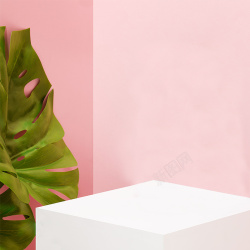 服装主图简约植物粉色服装主图背景高清图片