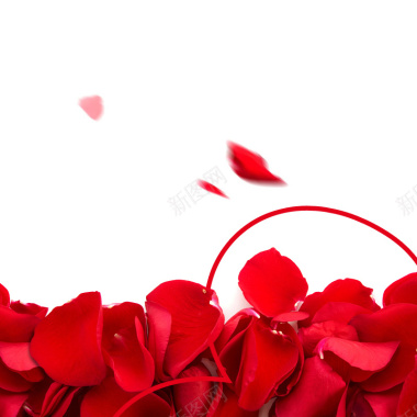 浪漫玫瑰促销推广图主图背景图背景