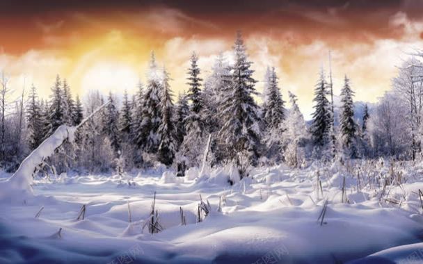 晚霞中的林海雪原海报背景背景