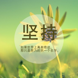坚持太阳花坚持高清图片