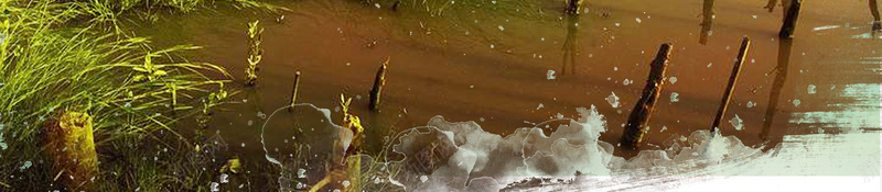 绿色简约世界湿地日宣传海报psd设计背景_88icon https://88icon.com 世界湿地日 保护环境 保护生态 全球湿地日 公益 湿地节 环境宣传 简约 绿色