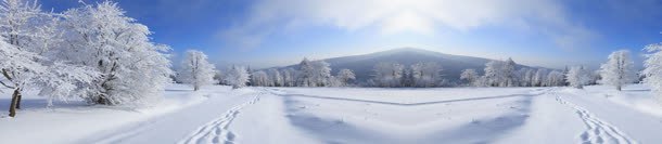 淘宝冬季服饰背景bannerjpg设计背景_88icon https://88icon.com banner 冬季 服饰 树林 淘宝 背景 雪路