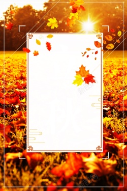 平面枫叶素材清新唯美秋分背景高清图片