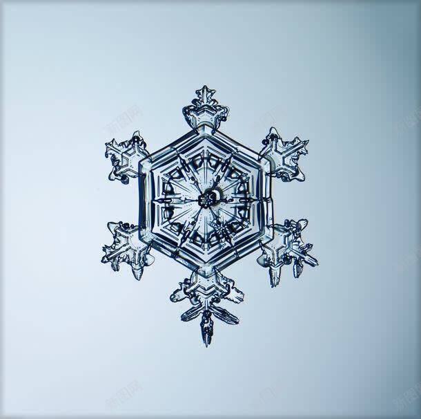 尖角雪花结构jpg设计背景_88icon https://88icon.com 其他生物 其它类别 冰 图片素材 尖角 尖角雪花结构图片图片 尖角雪花结构图片图片素材下载 晶体 生物世界 结构 背景花边 透明 雪花