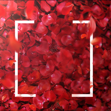 红色大气玫瑰花瓣背景图背景