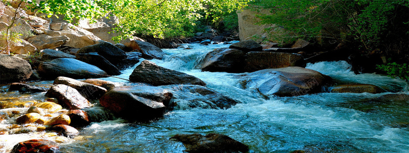 唯品会banner背景